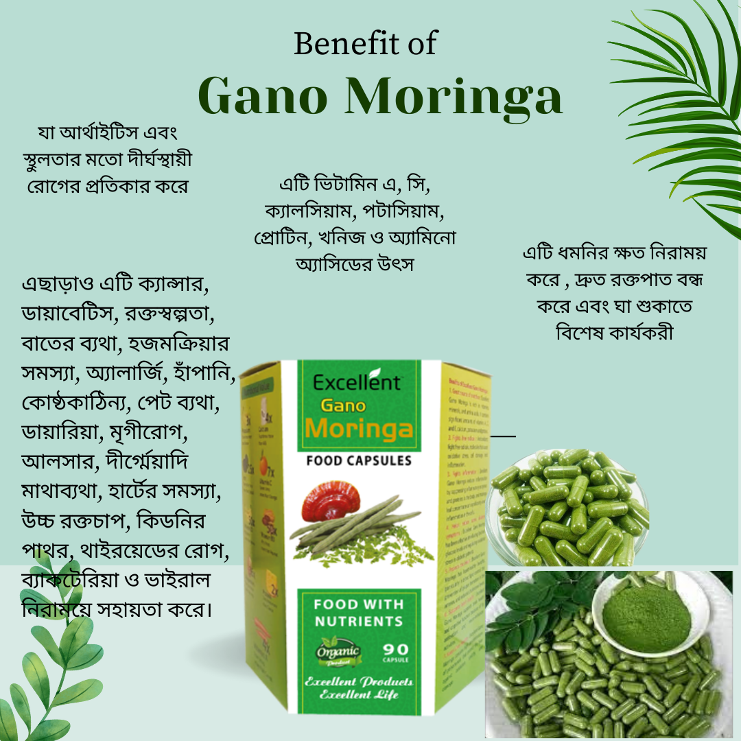 Gano Moringa